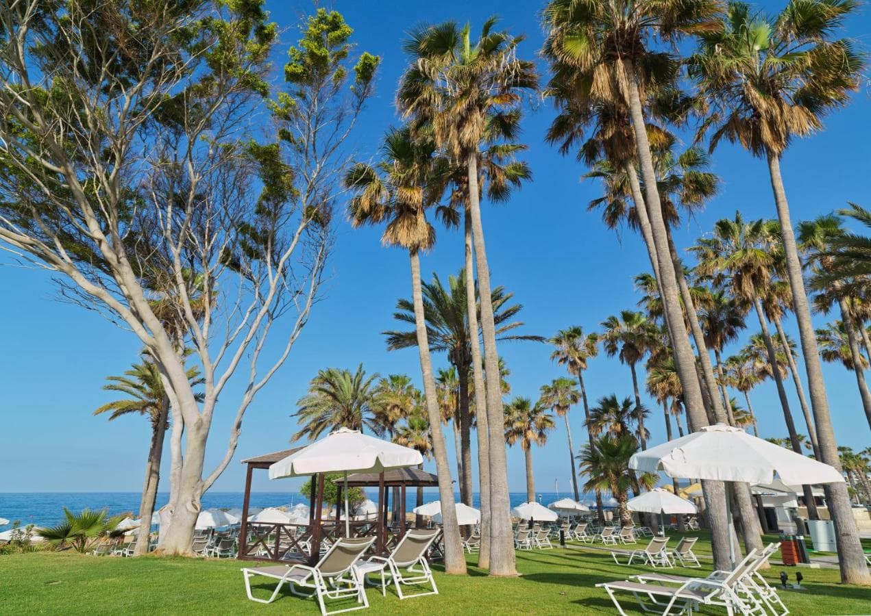 Leonardo Plaza Cypria Maris Beach Hotel & Spa – photo 5