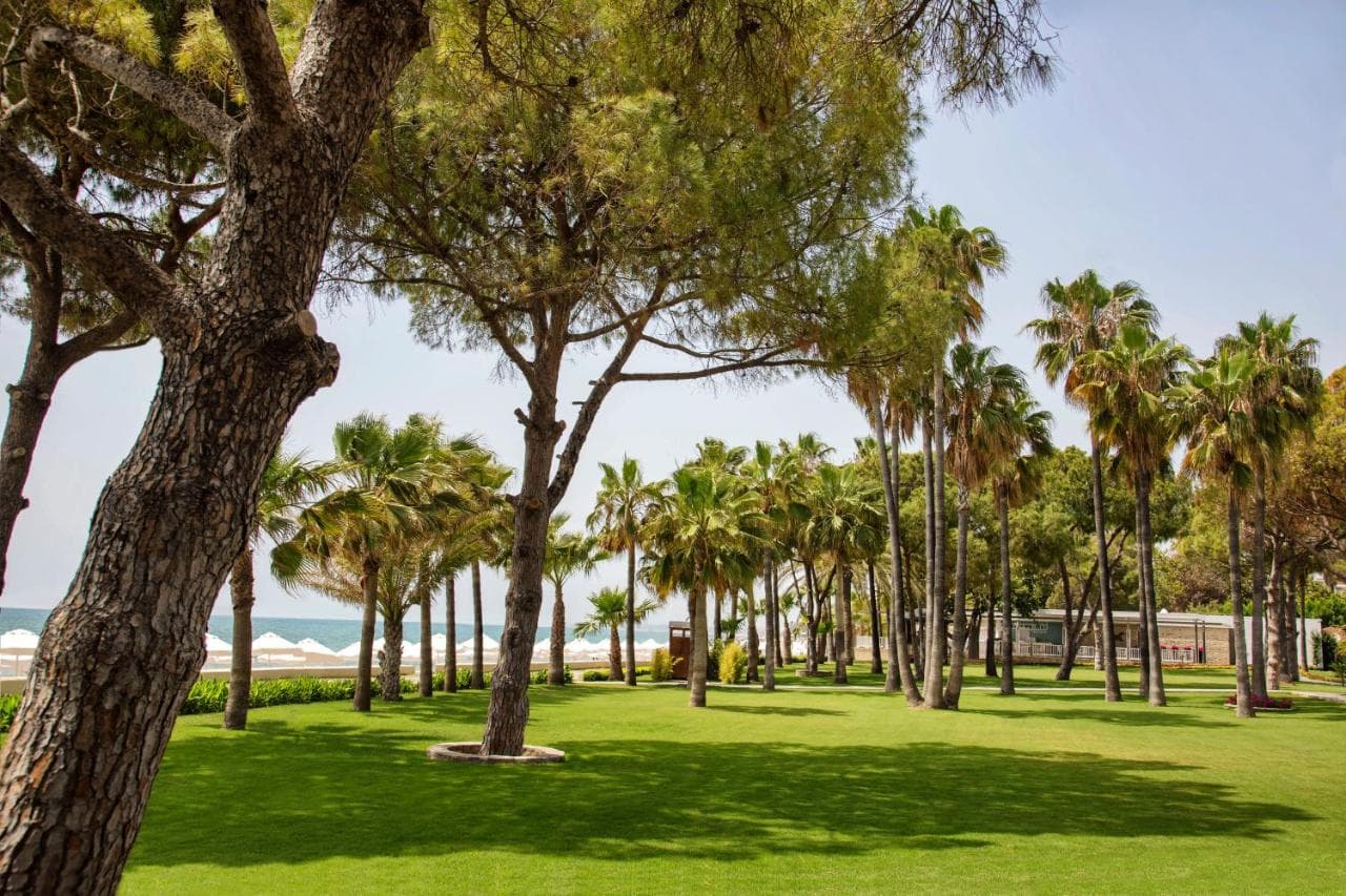 Acanthus Cennet Barut Collection - Ultra All Inclusive – photo 5