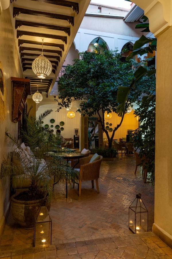 Riad l'Oiseau du Paradis – photo 7