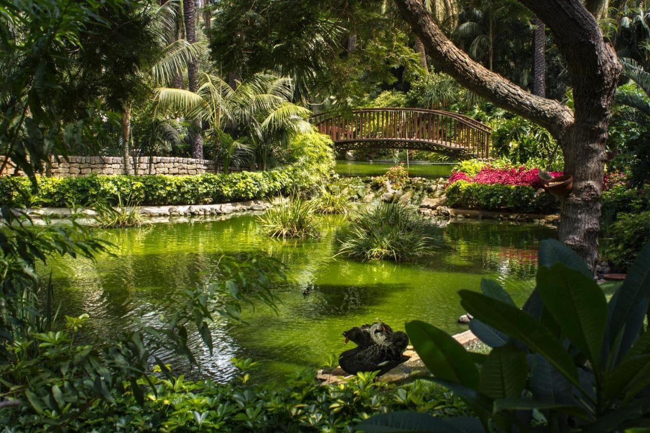 Hotel Botanico y Oriental Spa Garden – photo 3