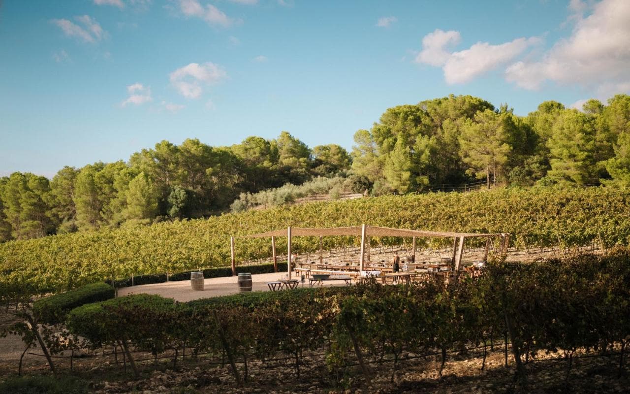 Finca Serena Mallorca, Small Luxury Hotels – photo 7
