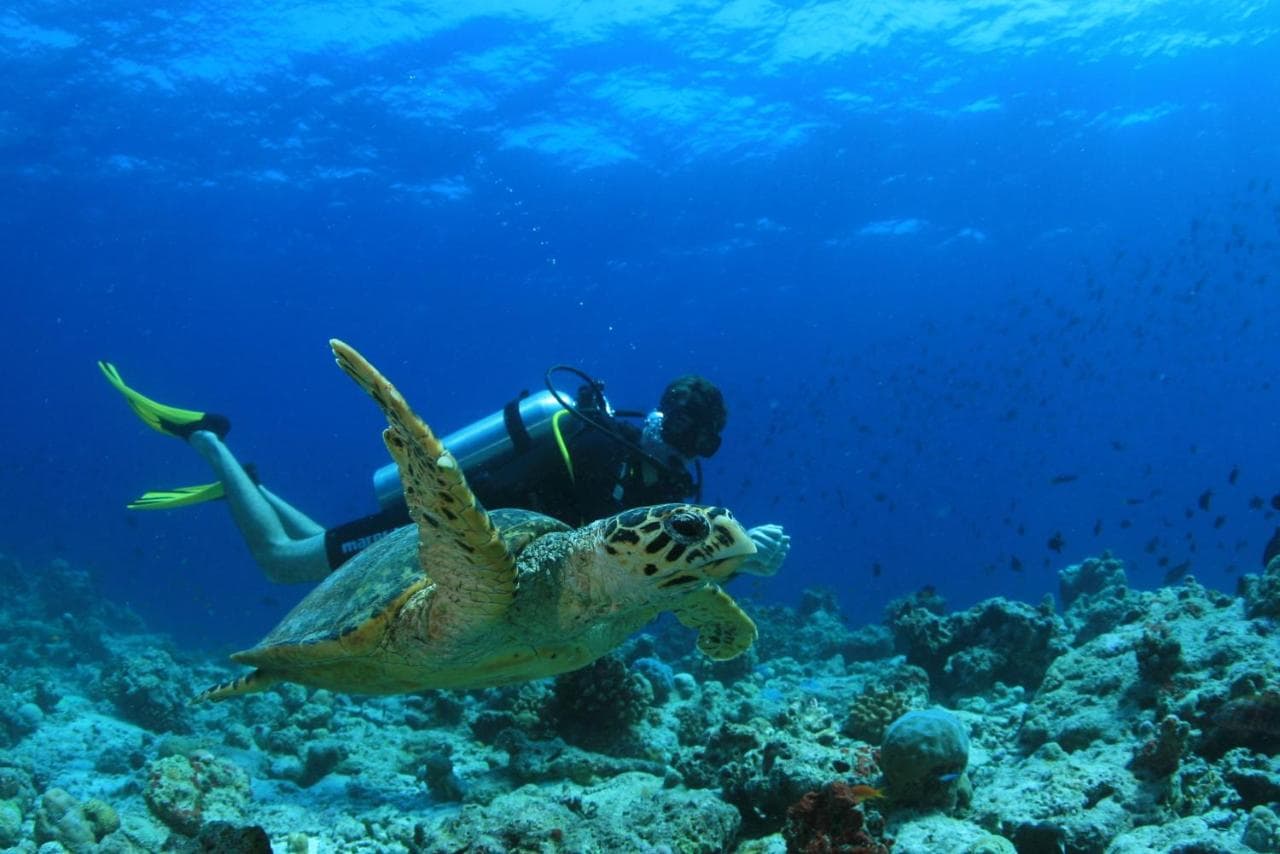 Amilla Maldives – photo 4