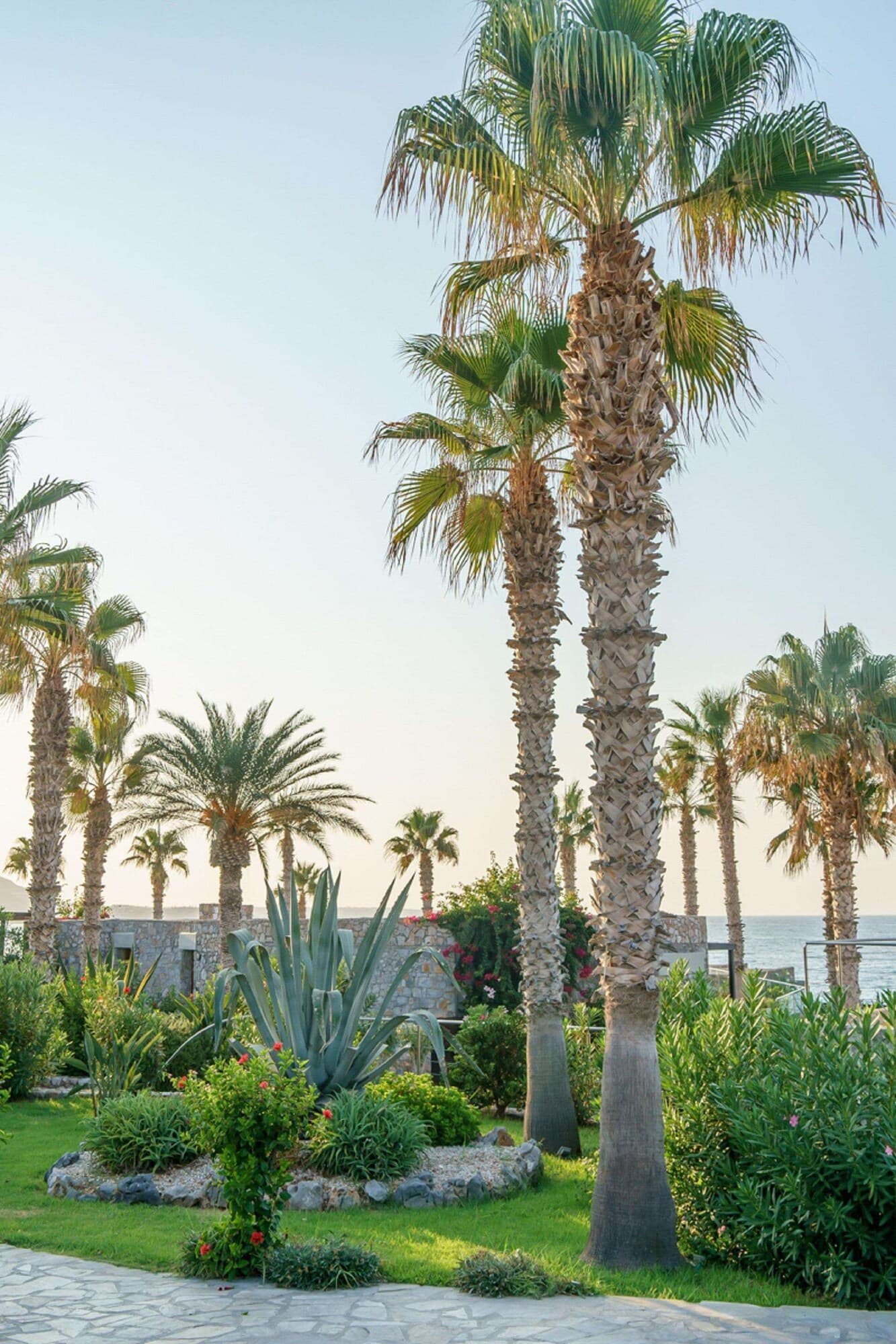 Ikaros Beach, Luxury Resort & Spa - Adults Only – photo 4