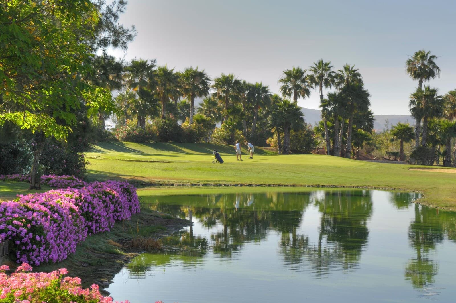 1881 Tenerife Madrigueras Golf Hotel