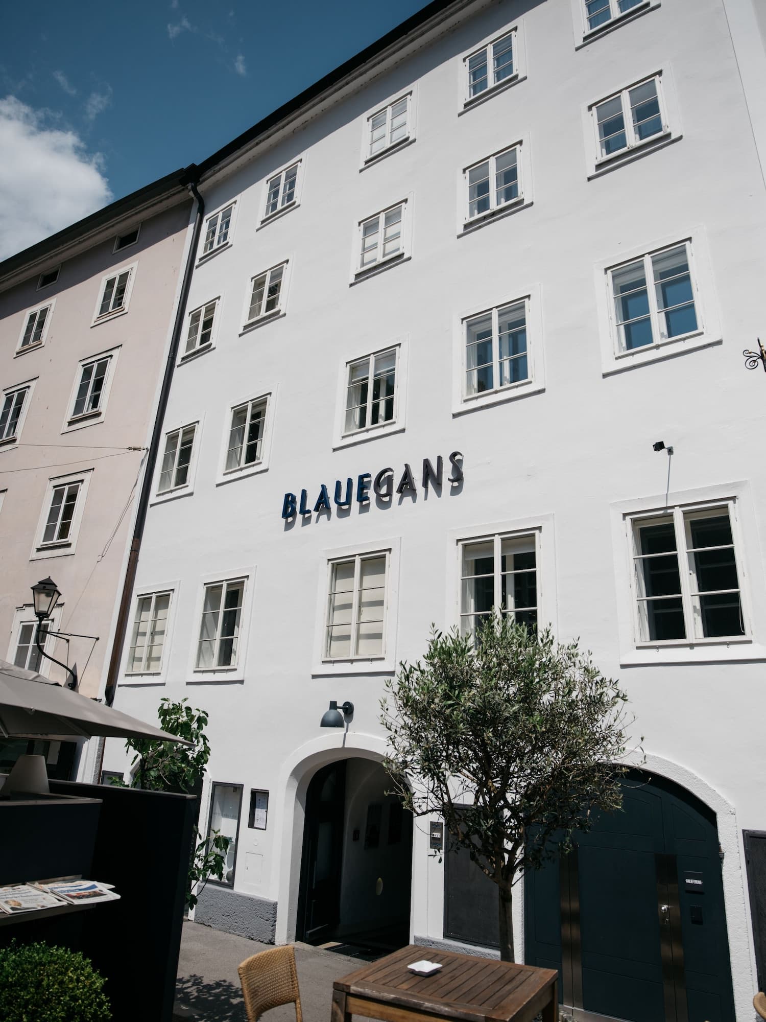 artHotel Blaue Gans – photo 4